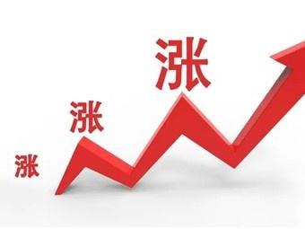 花生價(jià)格普遍上漲，漲幅在100-200每噸